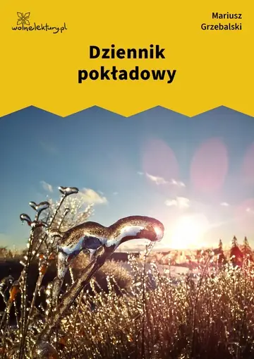 Dziennik pokładowy