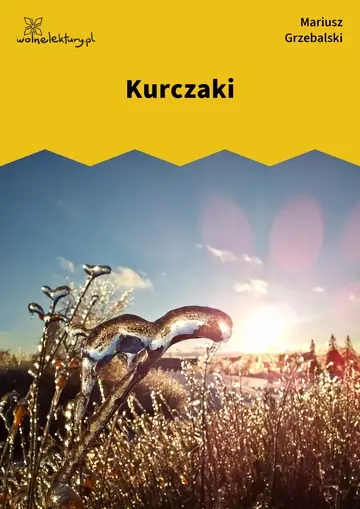 Kurczaki