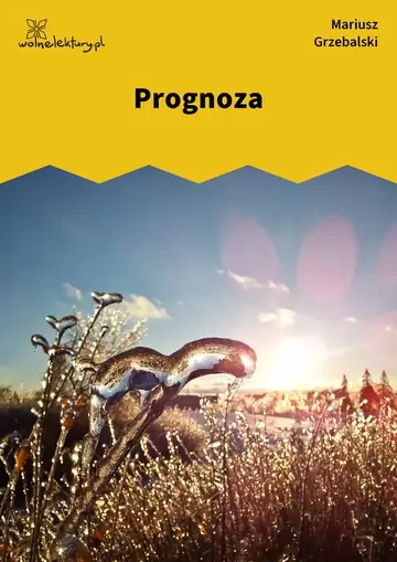Prognoza