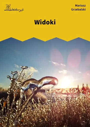 Widoki