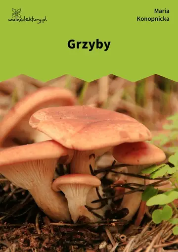 Grzyby