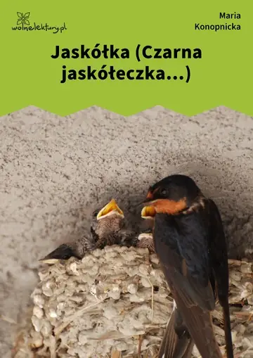 Jaskółka (Czarna jaskółeczka...)