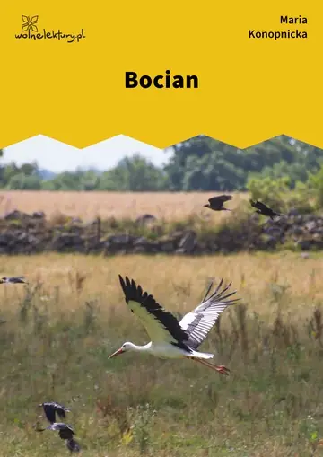 Bocian