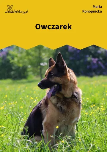 Owczarek