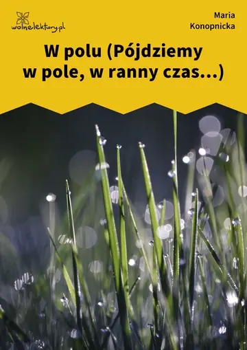 W polu (Pójdziemy w pole, w ranny czas...)