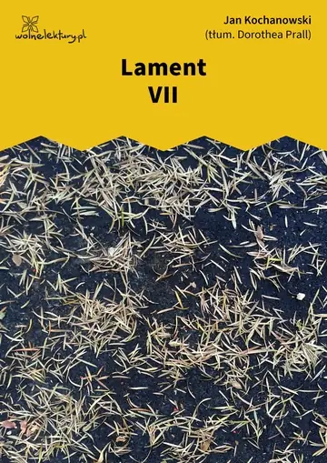 Lament VII