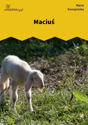 Maciuś