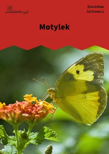 Motylek