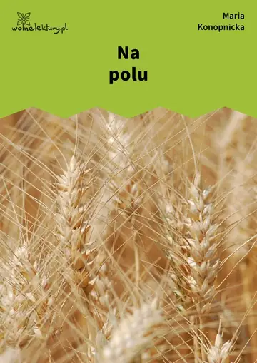 Na polu