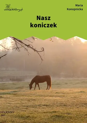 Nasz koniczek