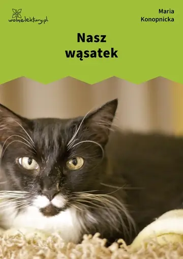 Nasz wąsatek