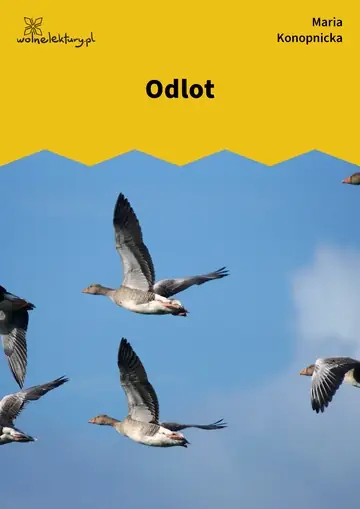 Odlot