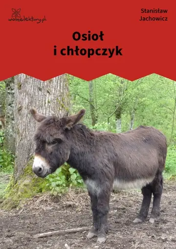 Osioł i chłopczyk