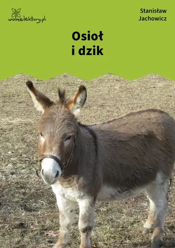 Osioł i dzik