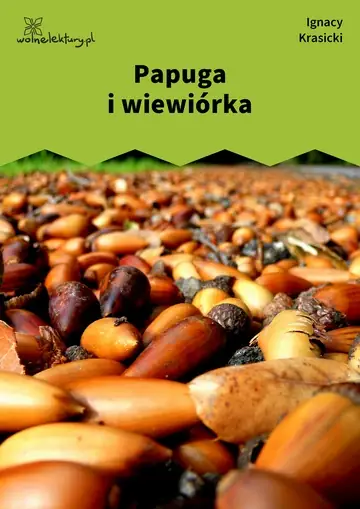Papuga i wiewiórka