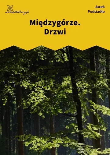 Międzygórze. Drzwi