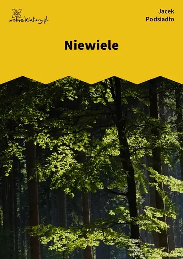 Niewiele