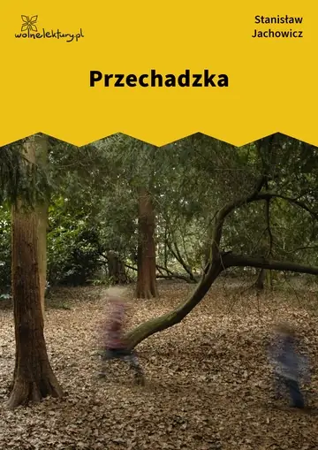 Przechadzka