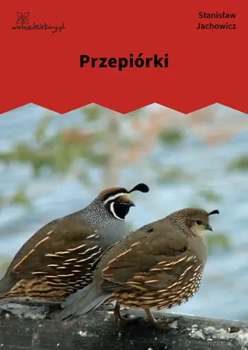 Przepiórki