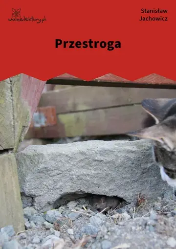 Przestroga