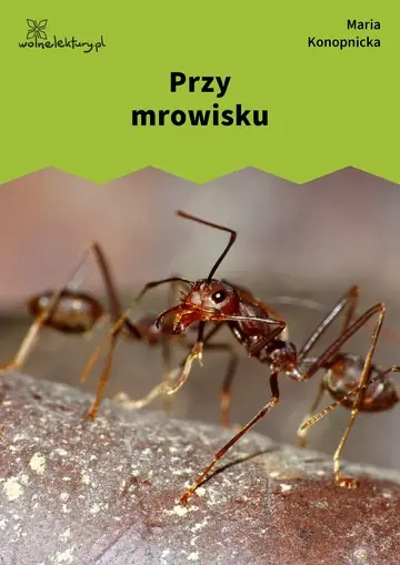 Przy mrowisku
