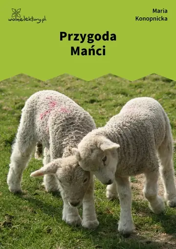 Przygoda Mańci