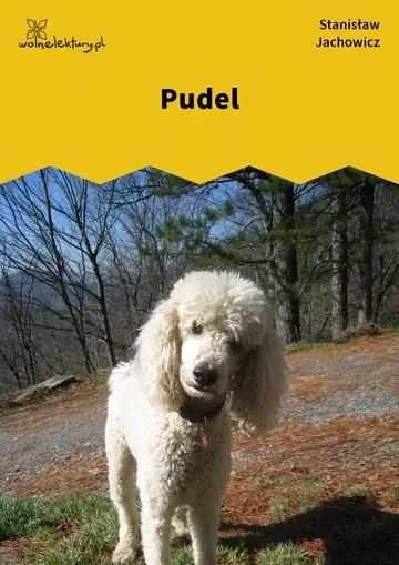 Pudel