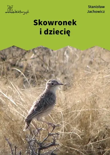 Skowronek i dziecię