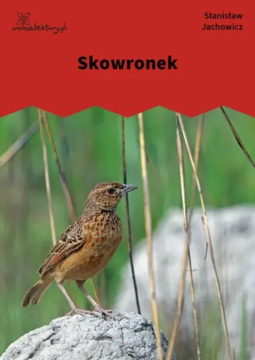 Skowronek