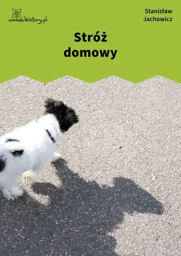 Stróż domowy