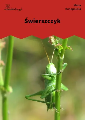 Świerszczyk