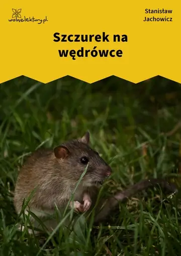 Szczurek na wędrówce