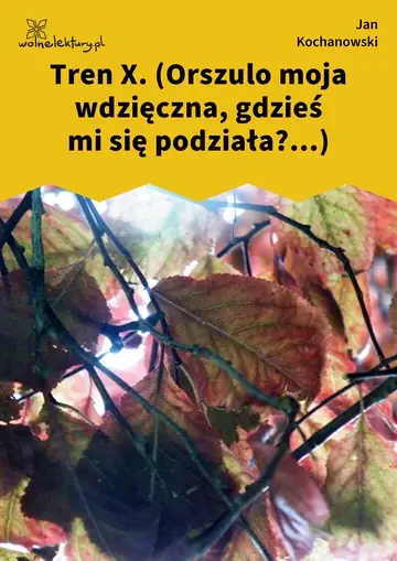 Tren X. (Orszulo moja wdzięczna, gdzieś mi się podziała?...)