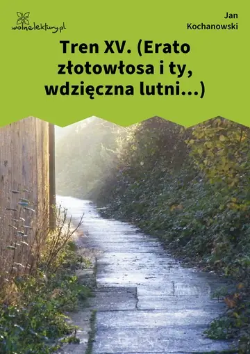 Tren XV. (Erato złotowłosa i ty, wdzięczna lutni...)