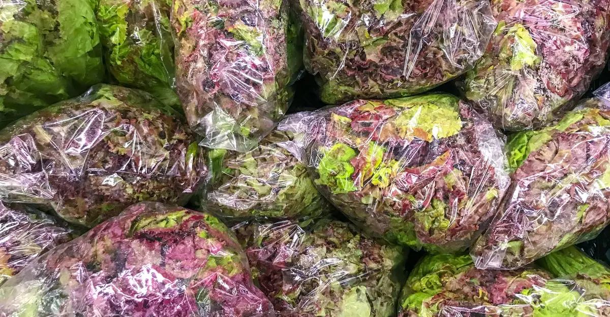 Now Is Not the Time to Eat Bagged Lettuce