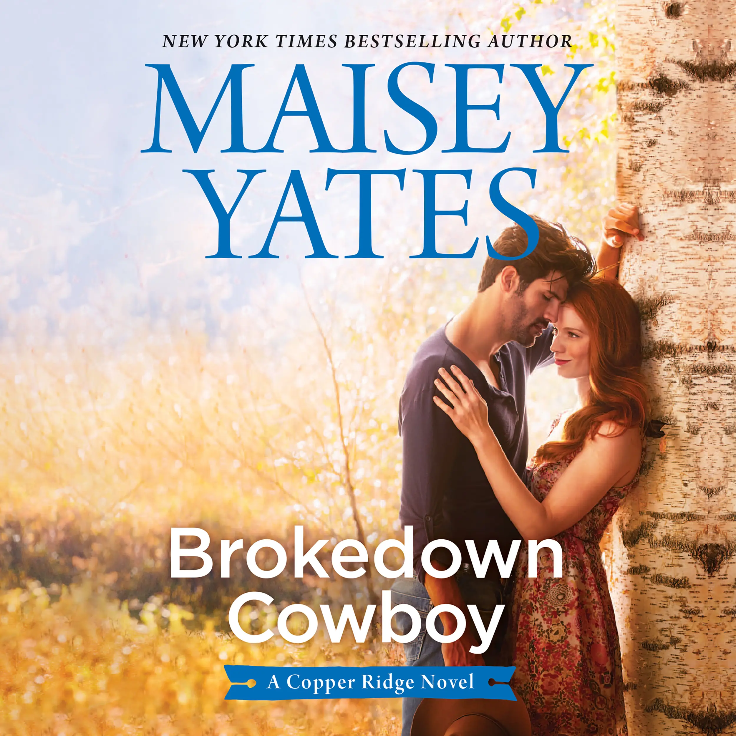 Brokedown Cowboy