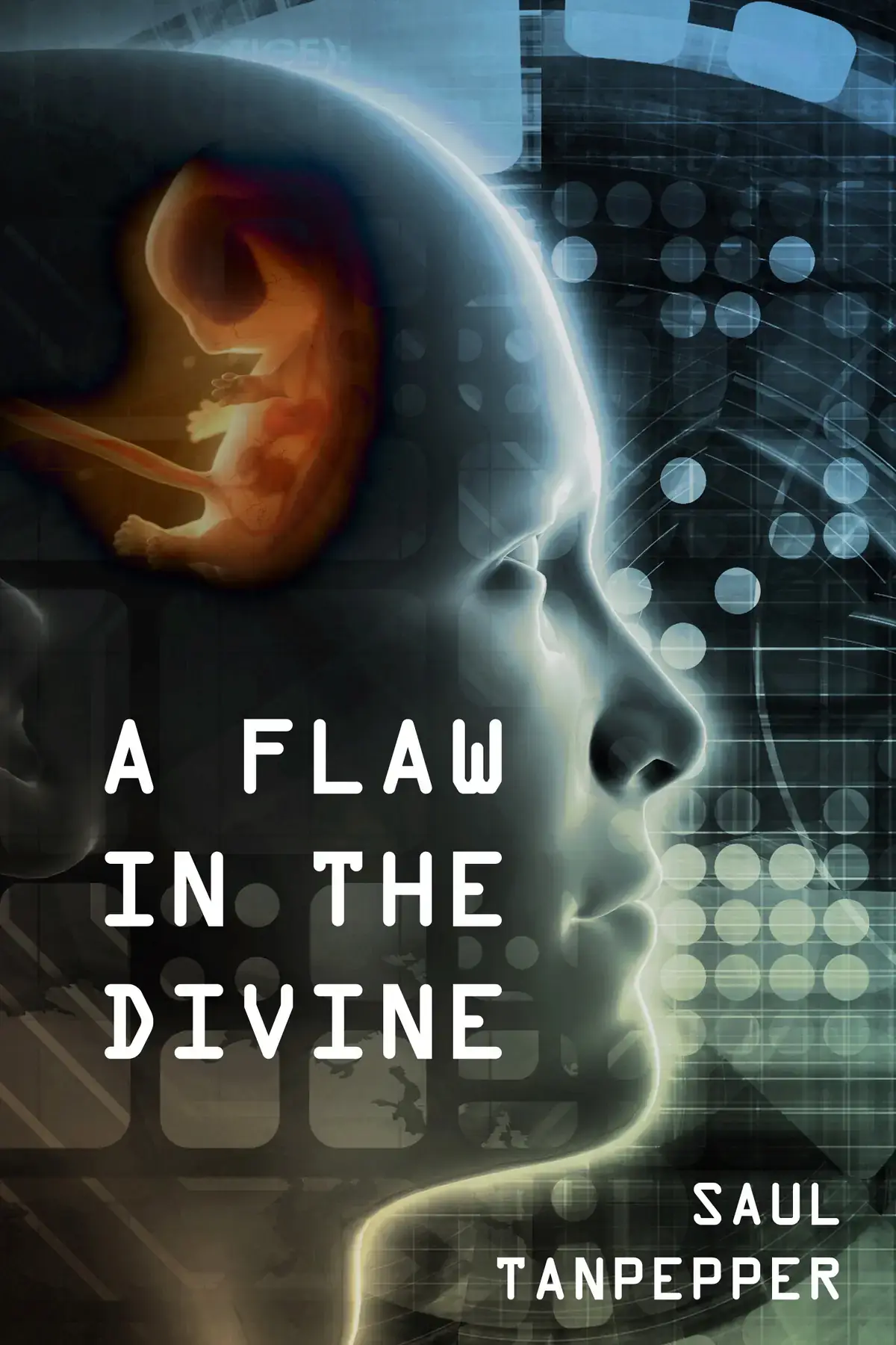 A Flaw in the Divine