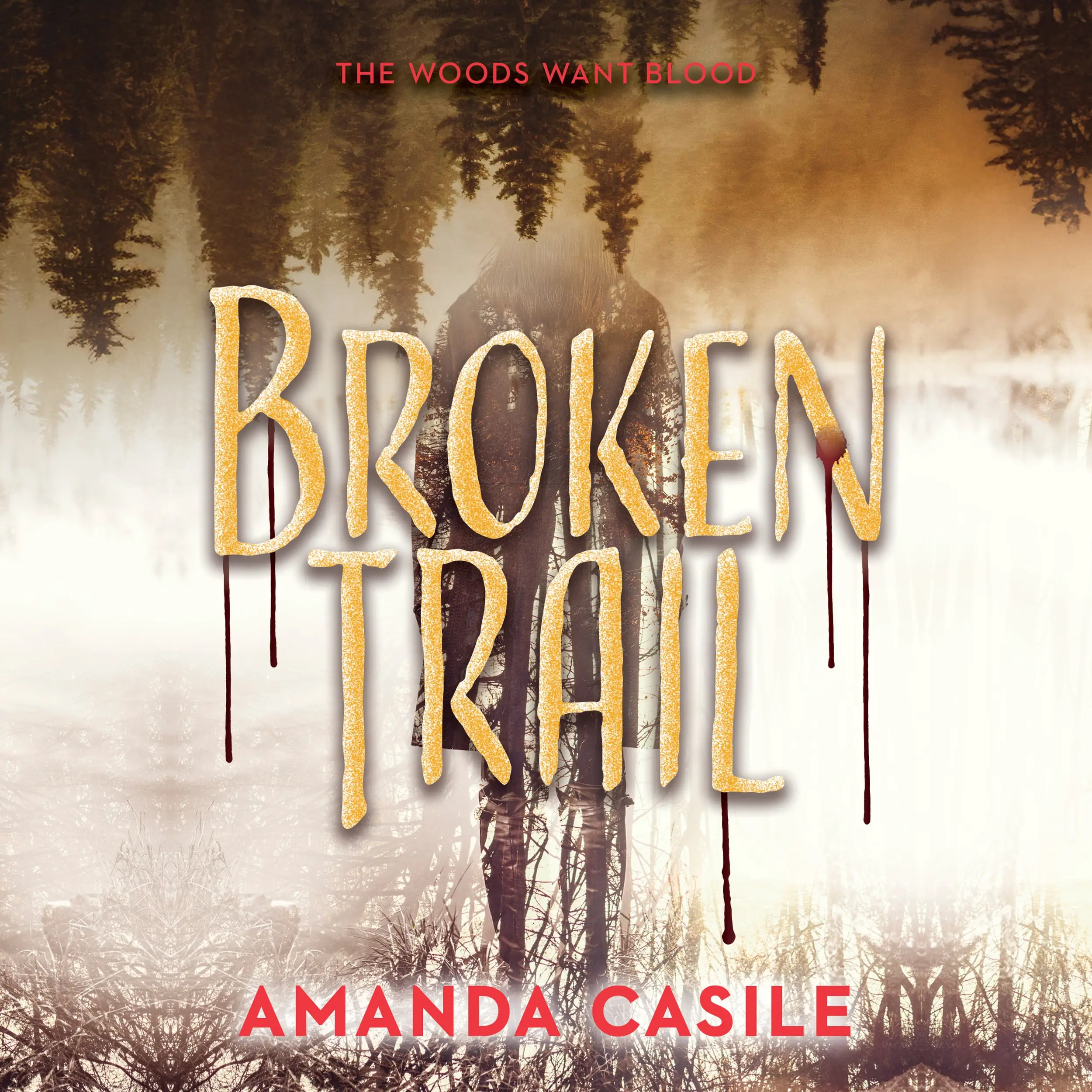 Broken Trail
