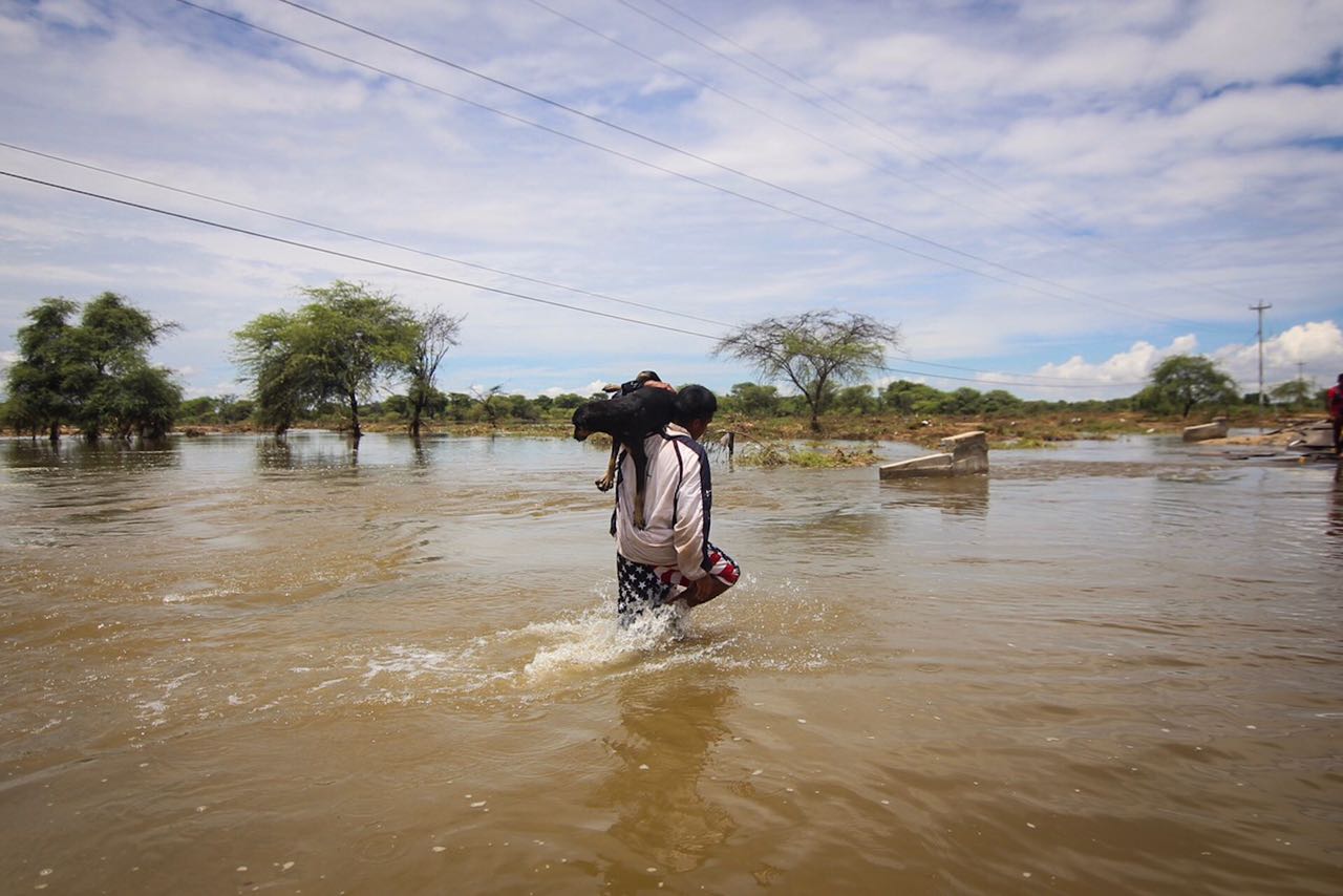 ¿piura Está Preparada Para Otro Fenómeno El Niño Diario El Tiempoemk 3826