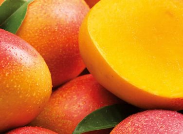 Agricultores de Malingas esperan exportar 220 tn de mango ‘Edward’