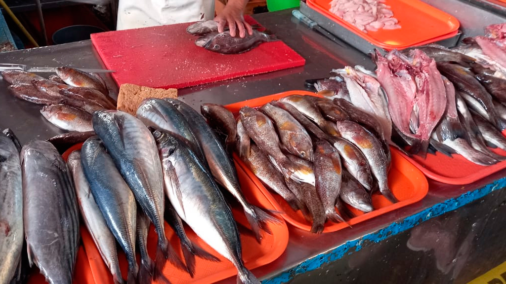 Semana Santa: conoce el precio del pescado el día de hoy