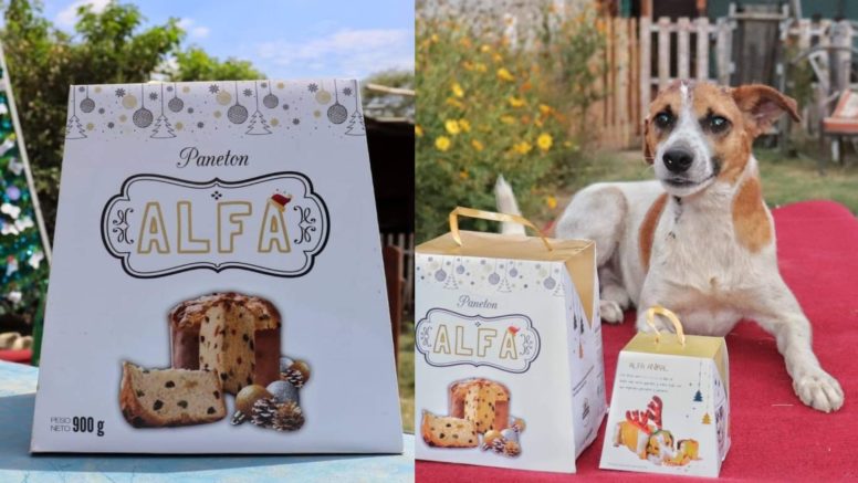 Albergue crea ‘panetón’ apto para perros y gatos a base de pollo, avena y atún