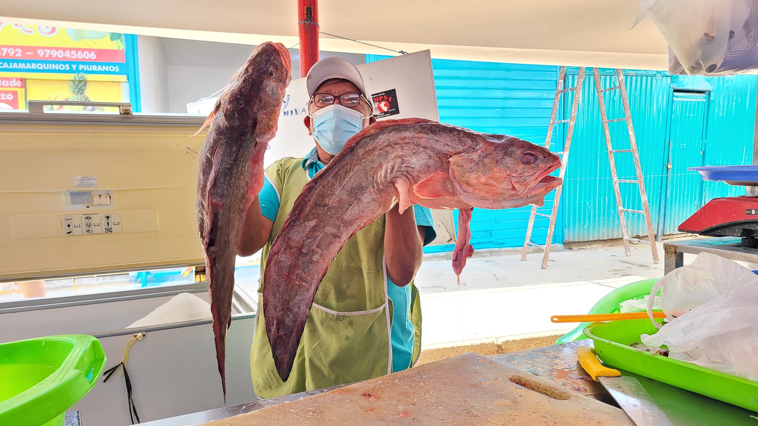 Día del Cebiche 2022: estos son los precios de los ingredientes en el mercado Acomipomaler de Piura - El Tiempo