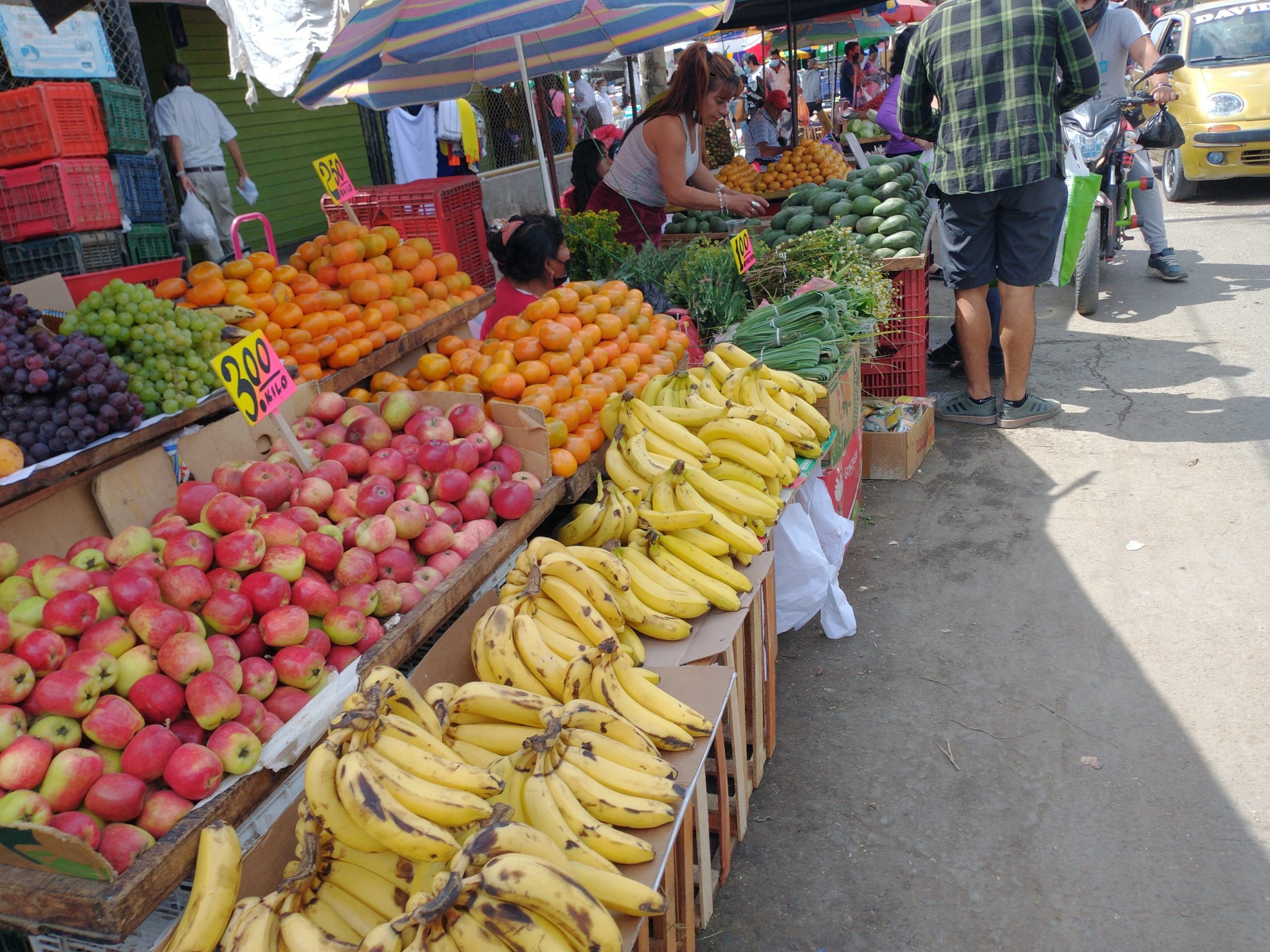 Paro de transportistas EN VIVO: precios de los alimentos subirán aún más - El Tiempo