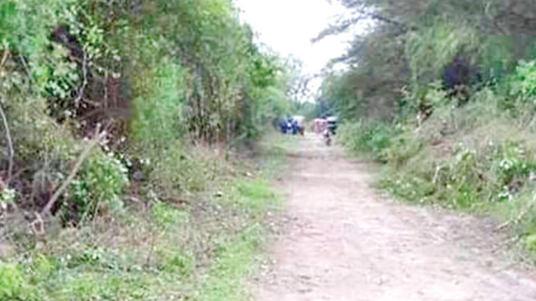 Las Lomas: agricultor pierde la vida tras despiste de su motocicleta