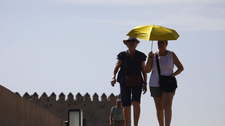 España: ola de calor marca récords de temperatura y deja ya 84 muertos