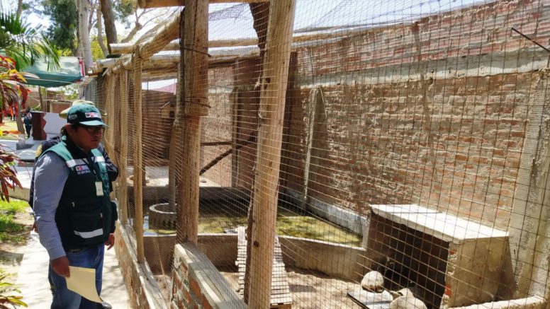 Serfor multa a local campestre por posesión de animales silvestres sin autorización