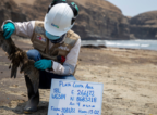 OEFA pide a Repsol “plan de rehabilitación” de sitios afectados por derrame de petróleo