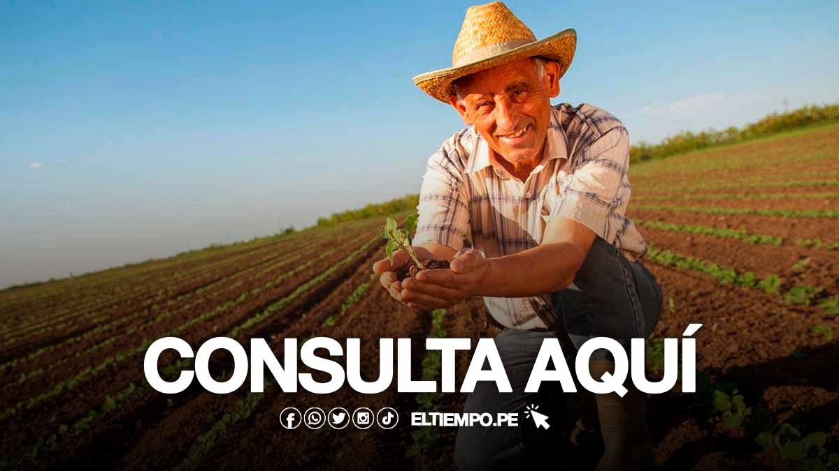 Bono Agrario LINK para consultar ¿Hasta qué fecha cobrar los 350, 389