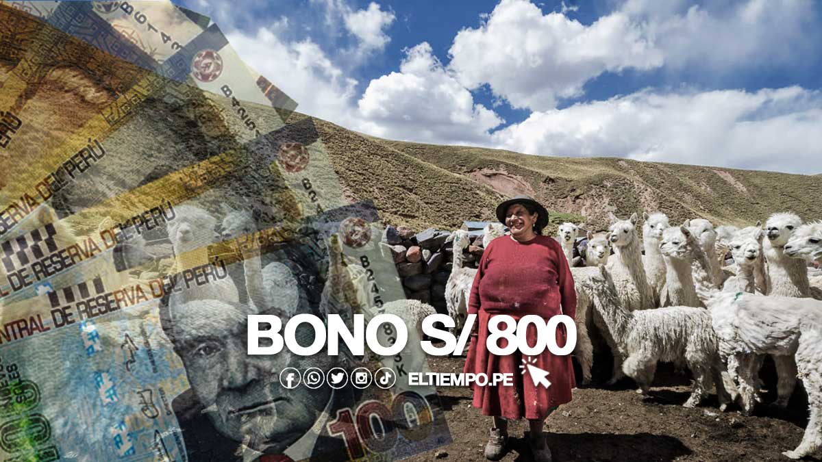 ¿Quiénes son beneficiarios del Bono 800 soles en Perú 2023? El Tiempo